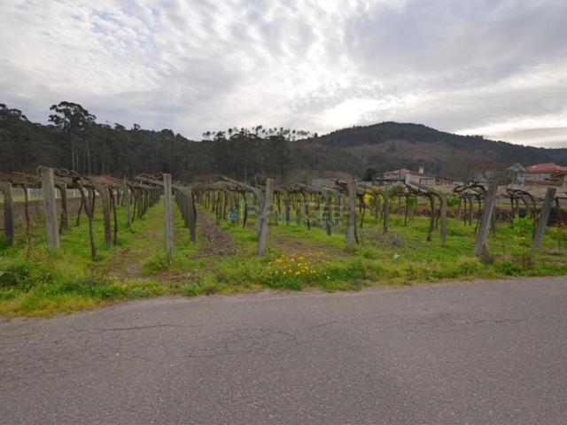 Terreno, Tui