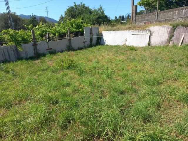 Terreno, Tui