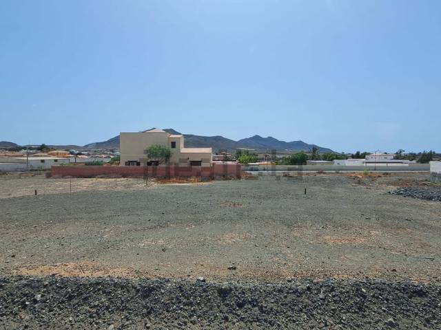 Terreno, Tuineje