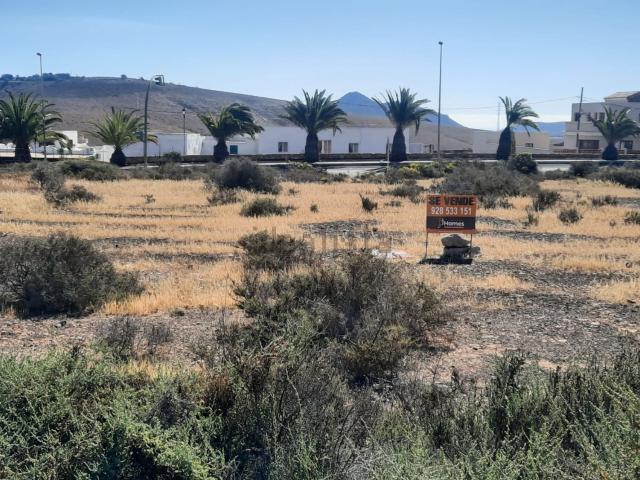 Terreno, Tuineje