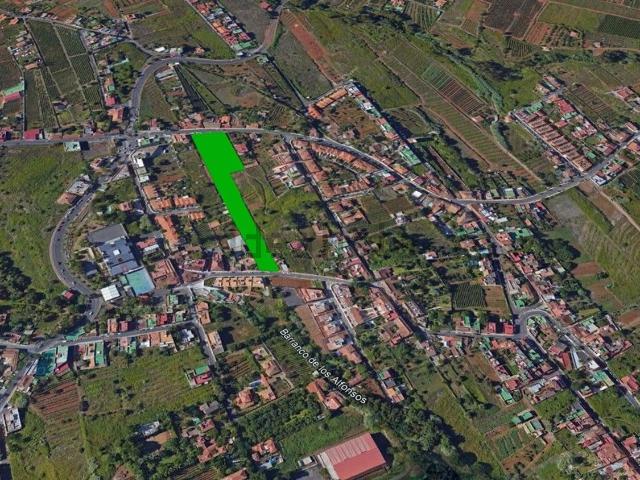 Terreno, Tacoronte