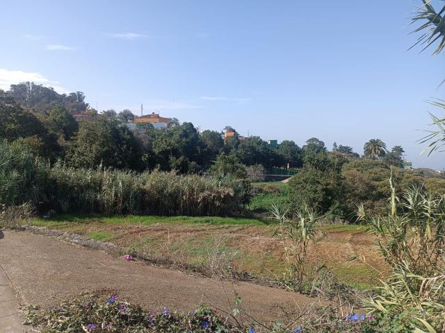 Terreno, Tacoronte
