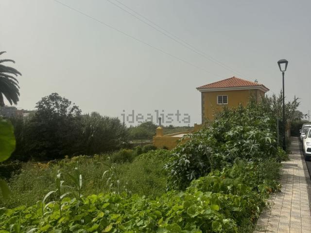 Terreno, Tacoronte