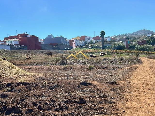 Terreno, Tacoronte