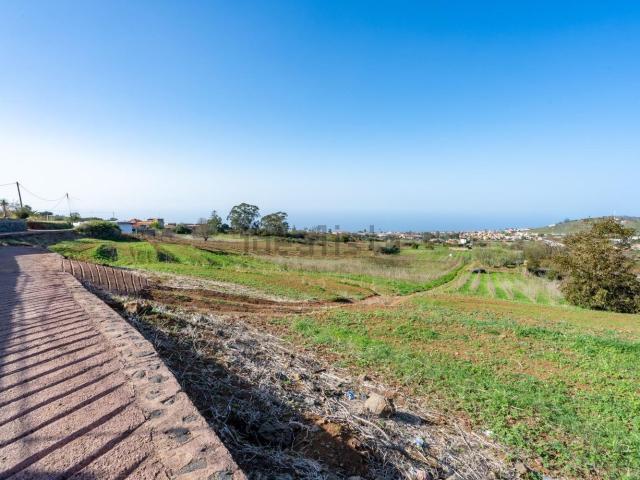 Terreno, Tacoronte
