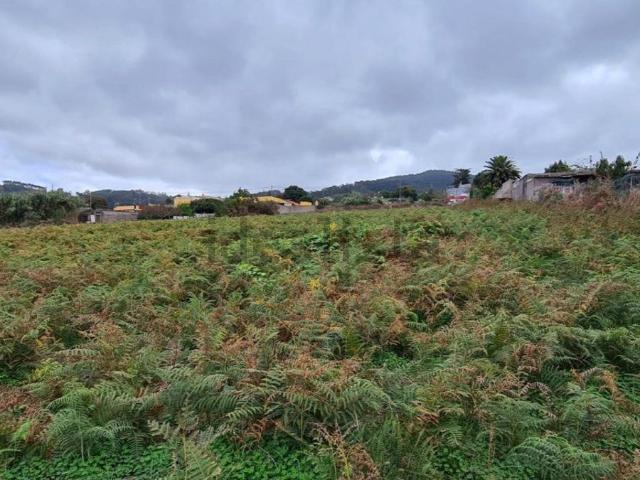 Terreno, Tacoronte