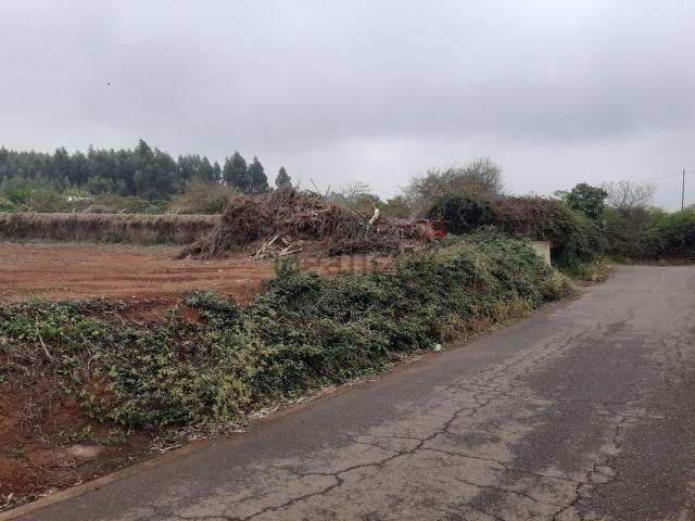 Terreno, Tacoronte