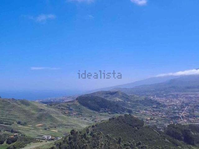 Terreno, Tacoronte