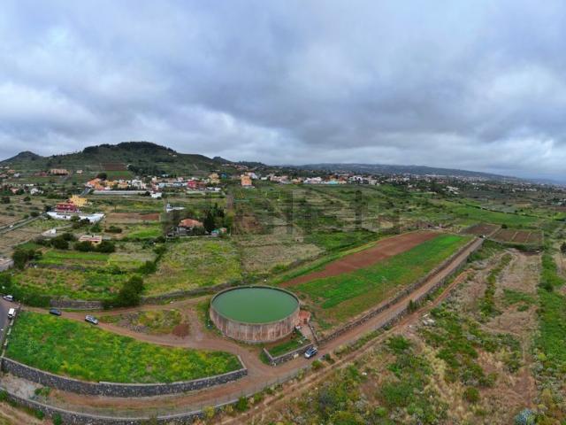 Terreno, Tacoronte