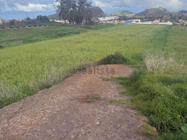 Terreno, Tacoronte