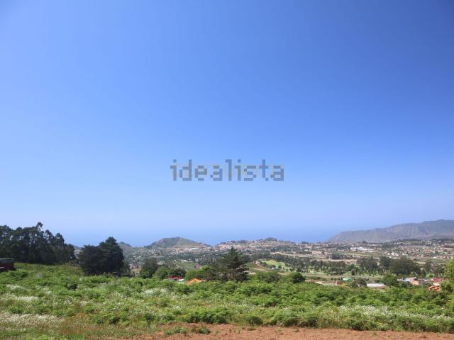 Terreno, Tacoronte