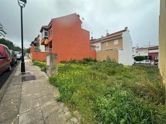 Terreno, Tacoronte