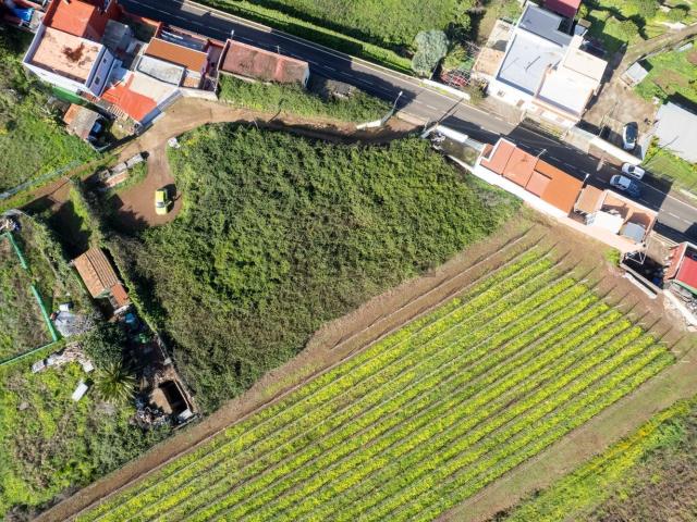 Terreno, Tacoronte