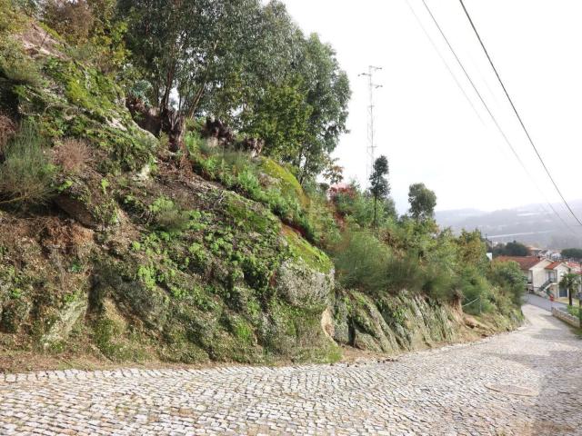 Terreno, Tagilde