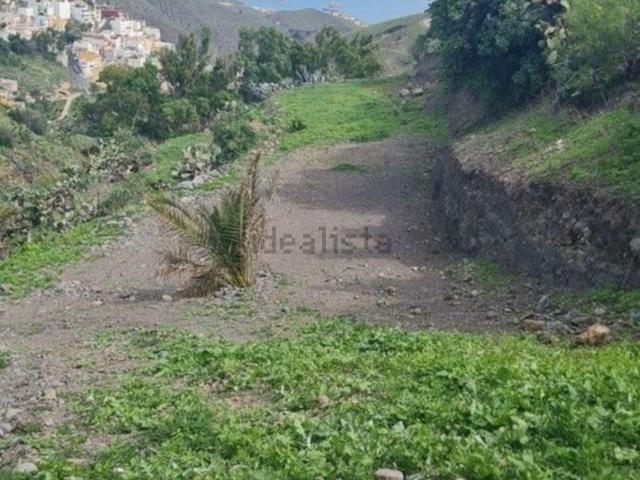 Terreno, Tafira, Las Palmas de Gran Canaria