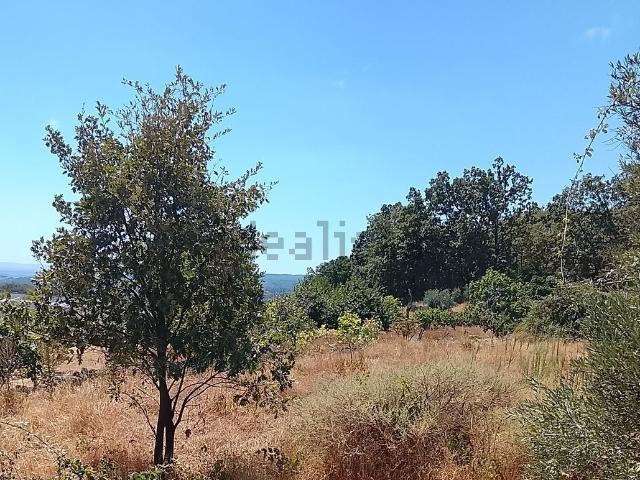 Terreno, Talaveruela de la Vera