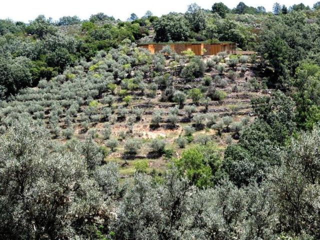 Terreno, Talaveruela de la Vera