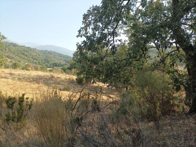Terreno, Talaveruela de la Vera