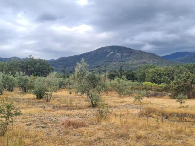 Terreno, Talaveruela de la Vera