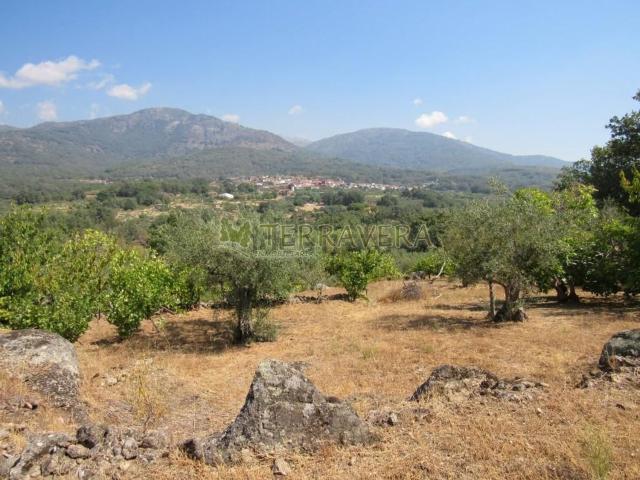 Terreno, Talaveruela de la Vera