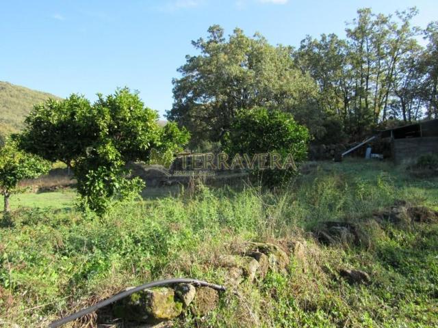 Terreno, Talaveruela de la Vera