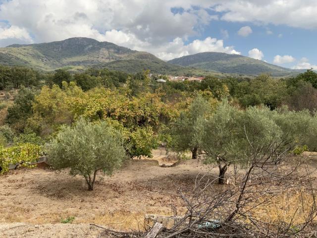 Terreno, Talaveruela de la Vera