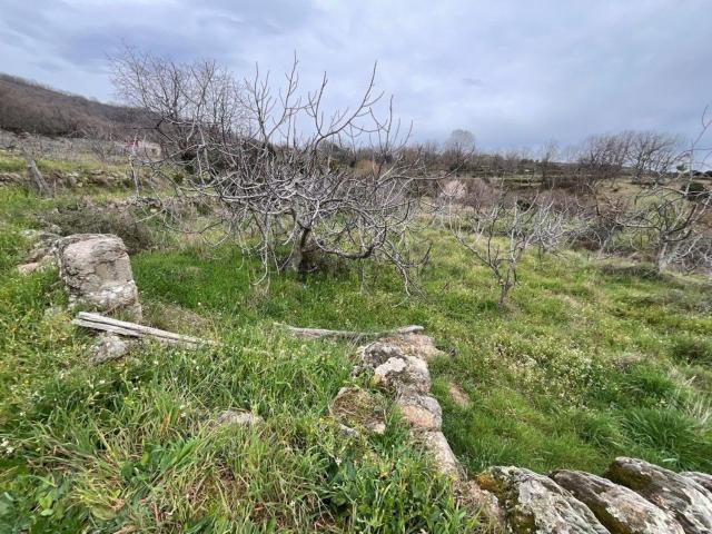 Terreno, Talaveruela de la Vera