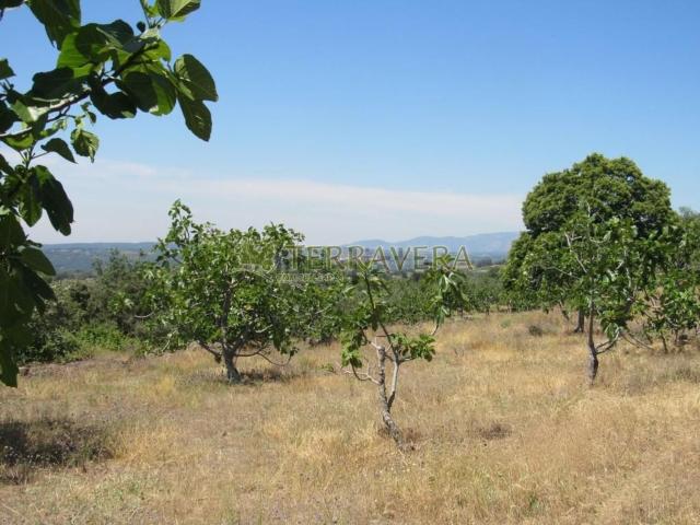 Terreno, Talaveruela de la Vera