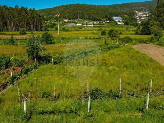 Terreno, Tamel Santa Leocádia e Vilar do Monte
