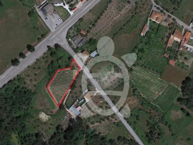 Terreno, Tapéus, Soure | BPI Expresso Imobiliário