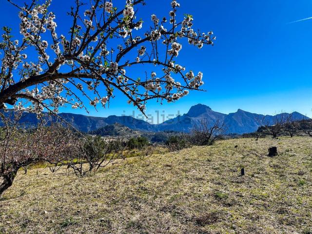 Terreno, Tarbena