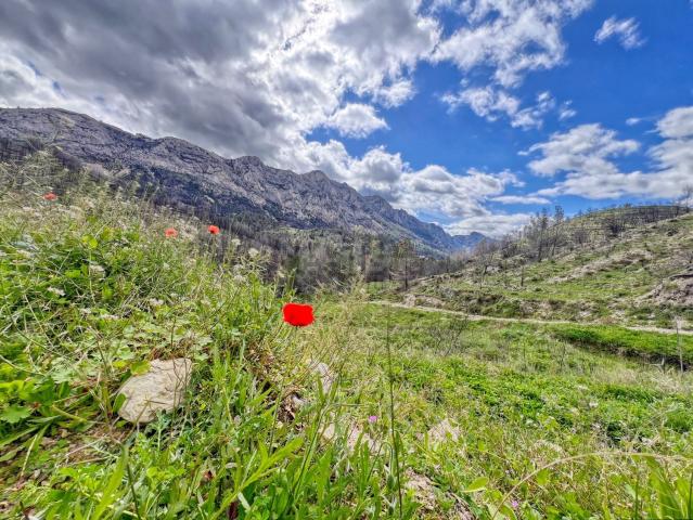 Terreno, Tarbena