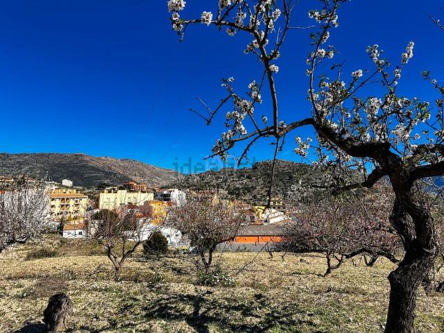 Terreno, Tarbena