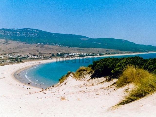 Terreno, Tarifa