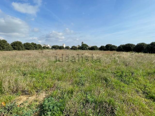 Terreno, Tarraco, Cambrils