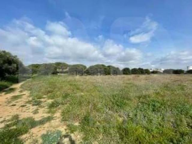 Terreno, Tarraco, Cambrils
