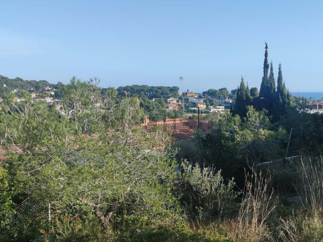 Terreno, Tarragona