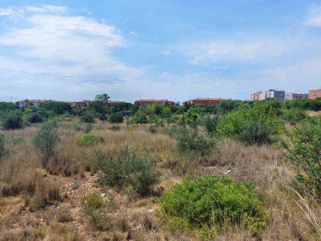 Terreno, Tarragona