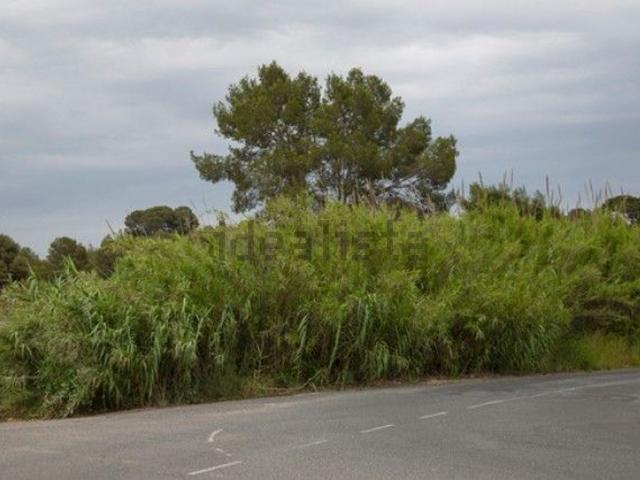 Terreno, Tarragona