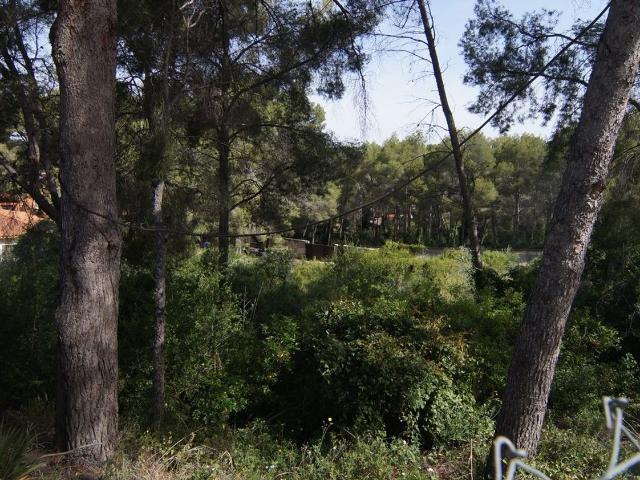 Terreno, Tarragona