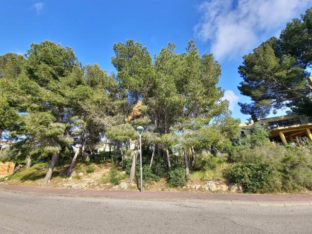 Terreno, Tarragona