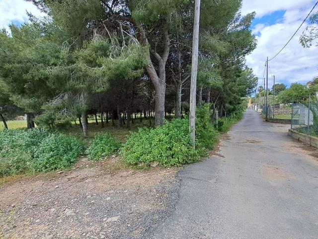 Terreno, Tarragona