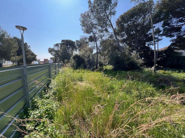 Terreno, Tarragona