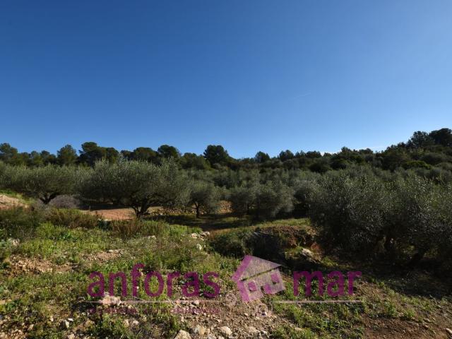 Terreno, Tarragona