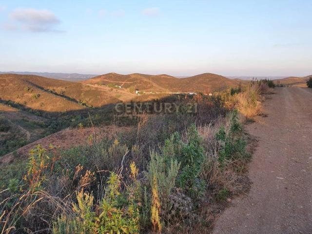 Terreno, Tavira