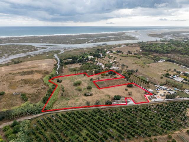 Terreno, Tavira