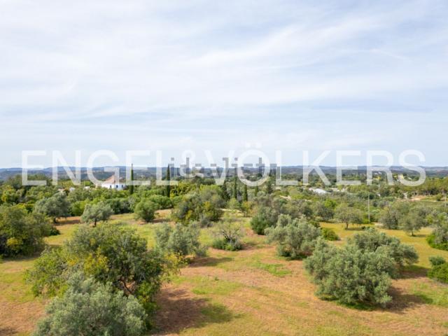 Terreno, Tavira