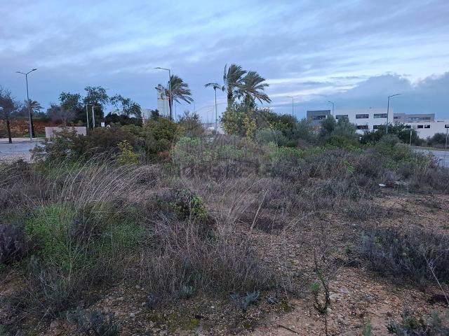 Terreno, Tavira