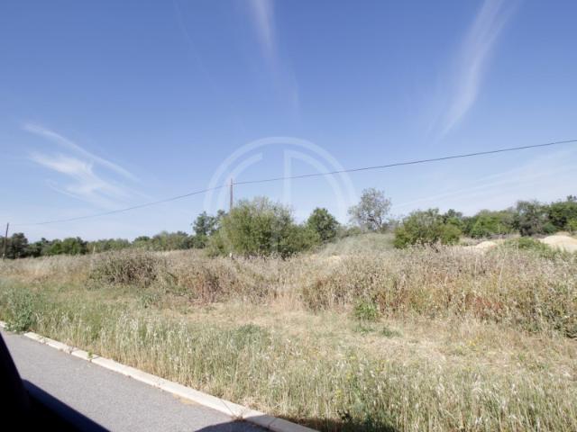 Terreno, Tavira Santa Maria e Santiago, Tavira | BPI Expresso Imobiliário