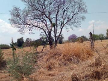 Terreno Tecamachalco